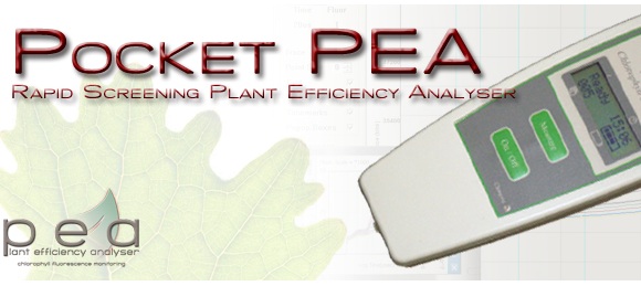 Pocket PEA
