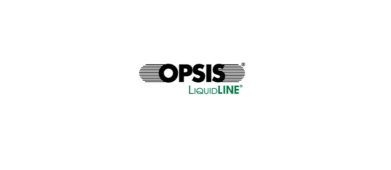 Opsis
